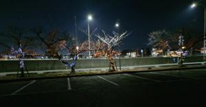 ありがとうプロジェクト