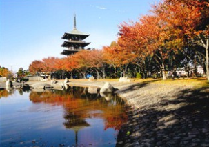 野添北公園