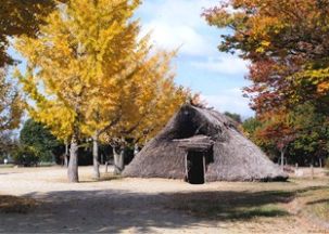 大中遺跡公園