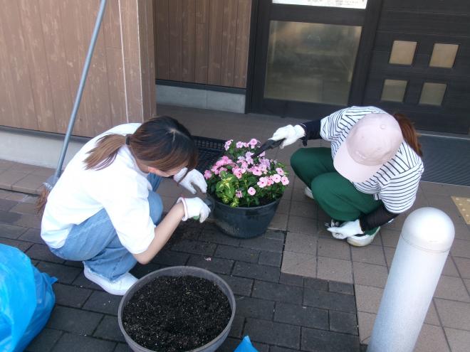 ひまわりや日日草を植えている様子