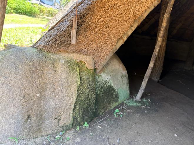 復元竪穴建物の土提
