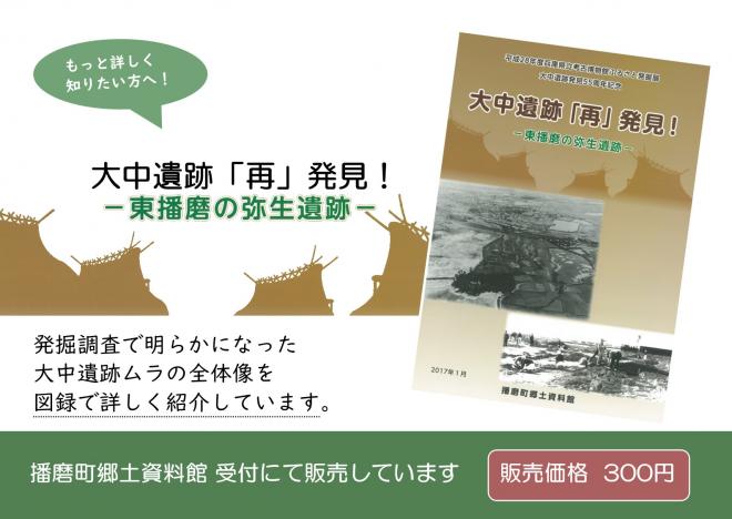 大中遺跡再発見図録販売定価300円
