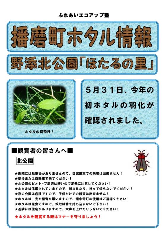 ホタル1