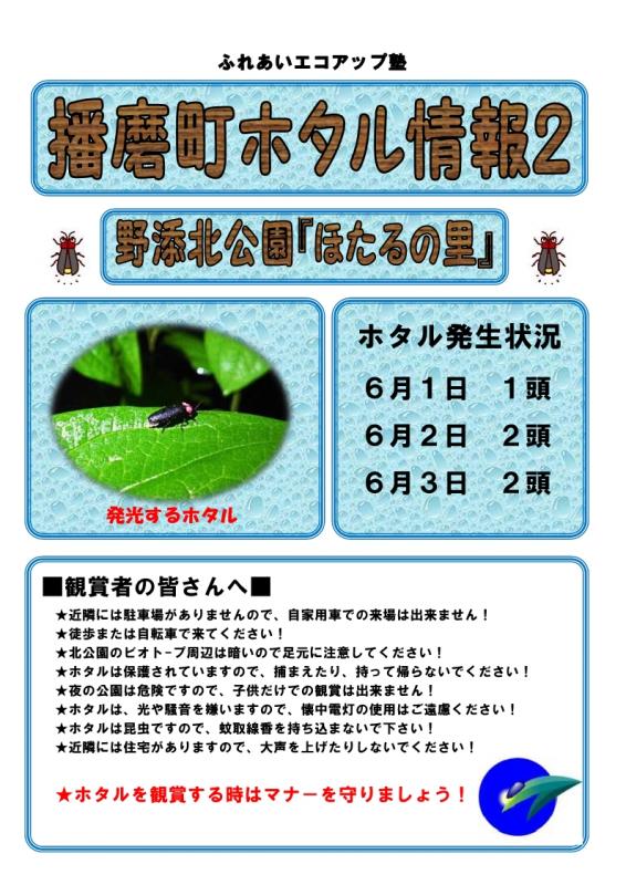ホタル2