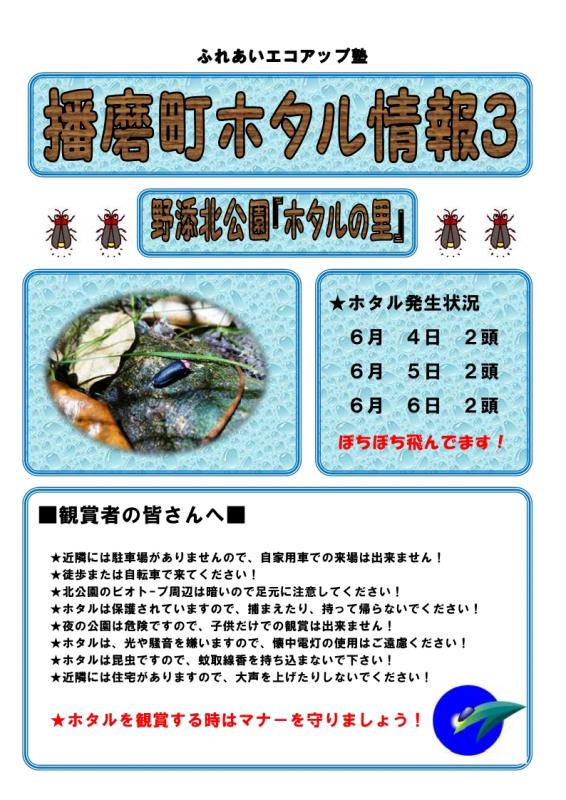 ホタル3