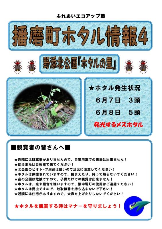 ホタル4
