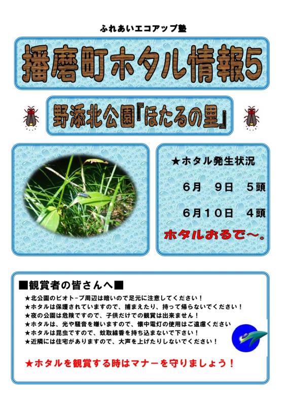 ホタル5