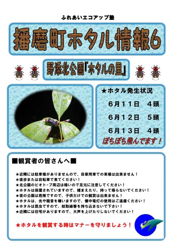 ホタル6