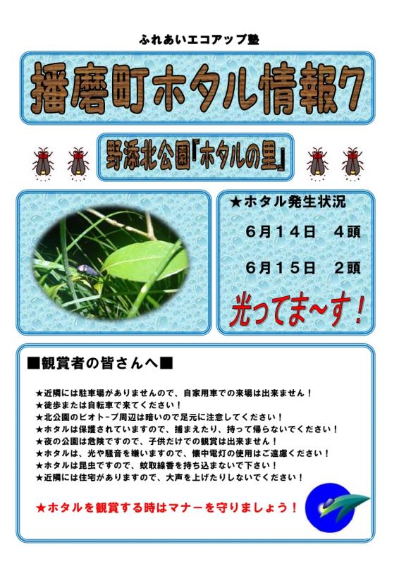 ホタル7