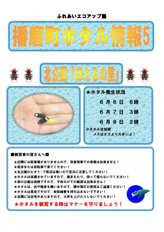 hotaru7_5