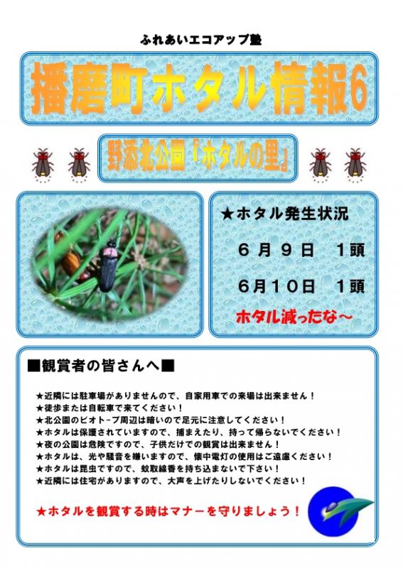 ホタル情報6