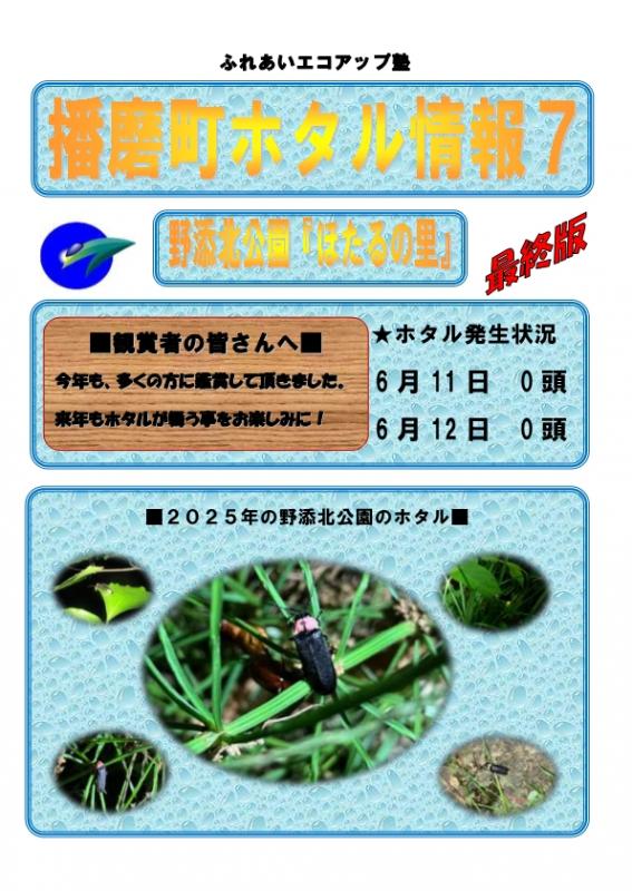 hotaru7_7