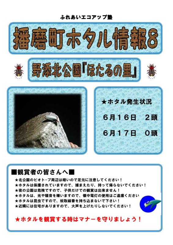 ホタル8
