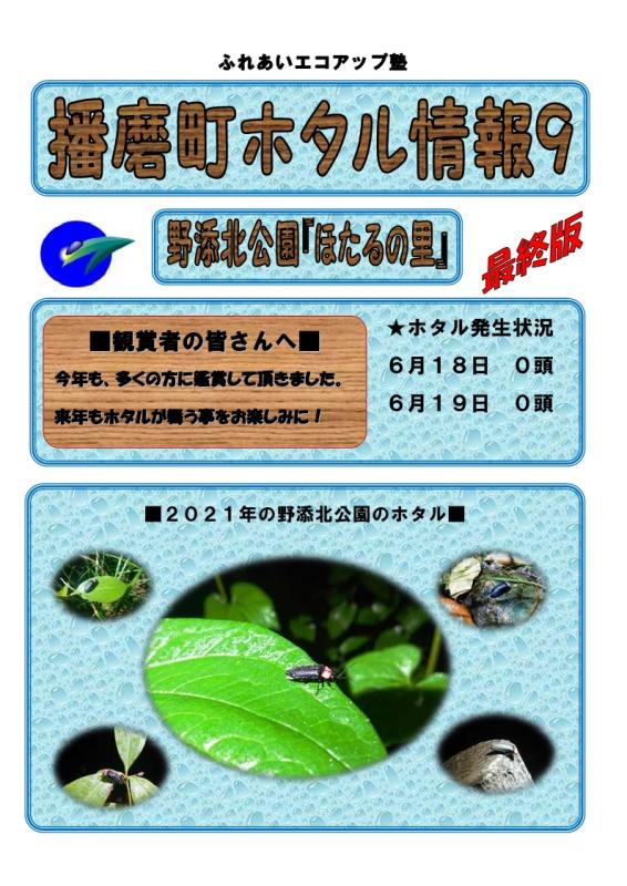 ホタル9