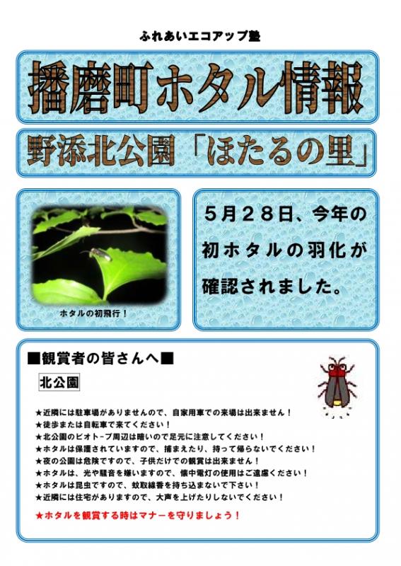 ホタル1