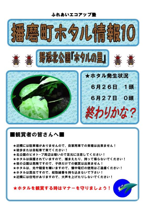 hotaru10