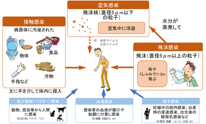感染経路