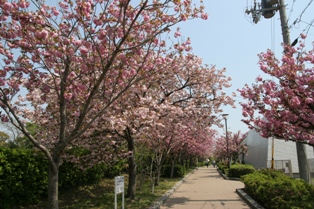 野添北公園の写真