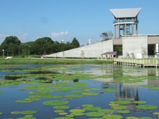 大中遺跡公園の写真