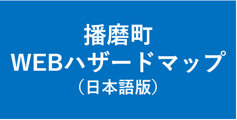 日本語版