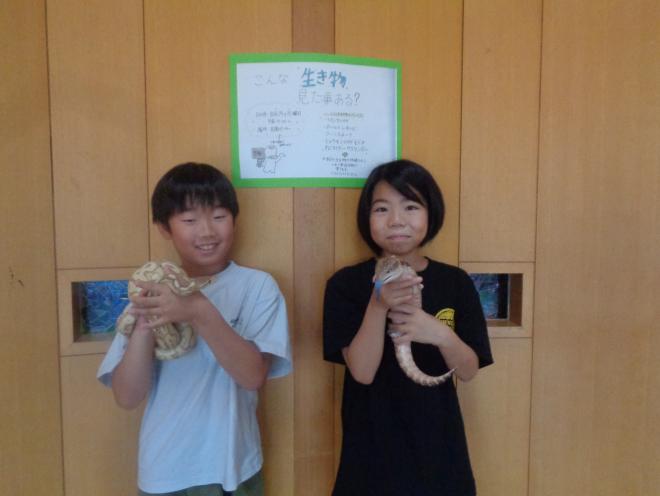生き物たち3