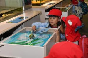 秋の遠足（年中）