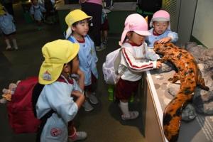 秋の遠足（年少）