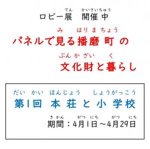 robi-tenn4gatu1