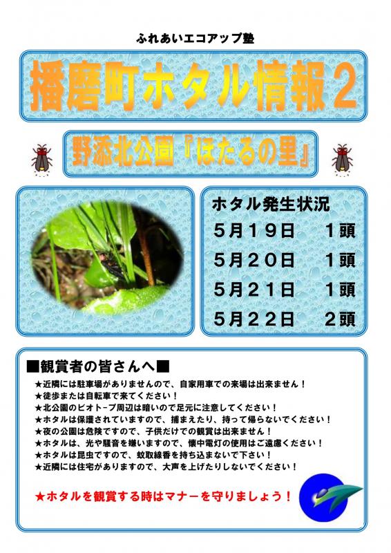 hotaru8_02