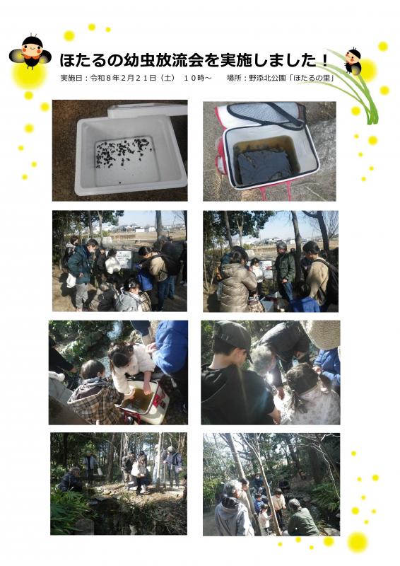 ほたるの幼虫放流会