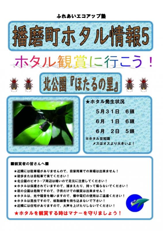 hotarur6_5
