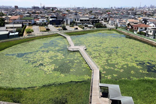 高台にて臨む